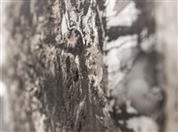 潮間⽔光藏品圖，第12張