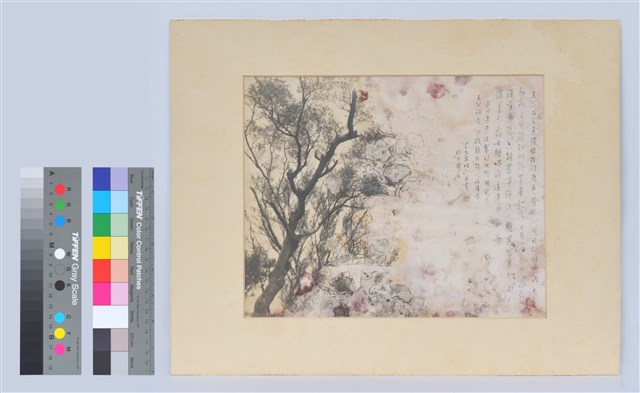 相片的圖片