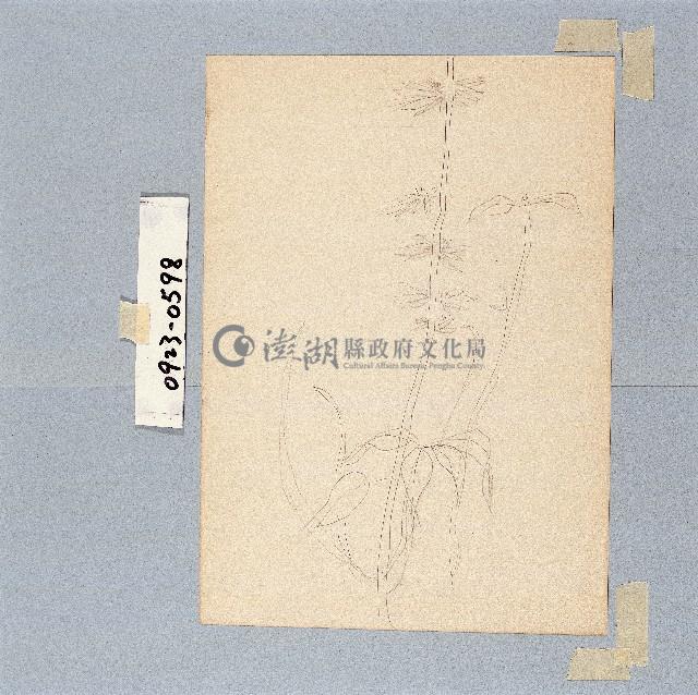 登錄號:2014E0010923藏品圖，第1張
