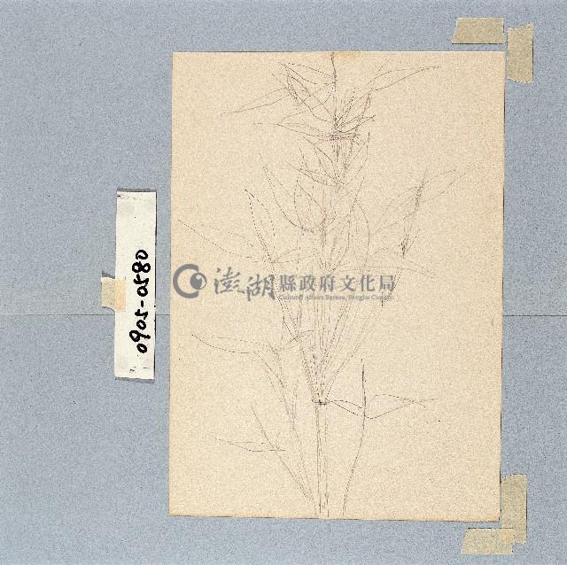 登錄號:2014E0010905藏品圖，第1張