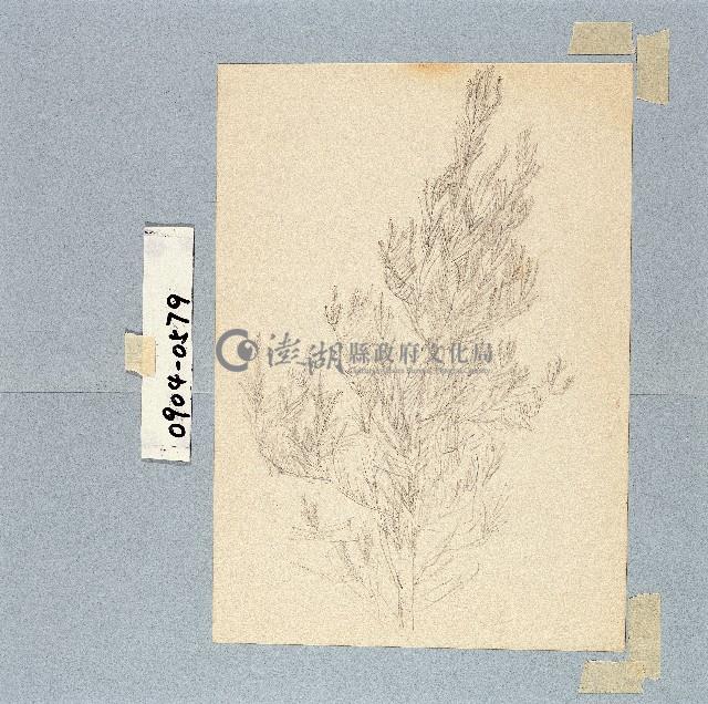 登錄號:2014E0010904藏品圖，第1張