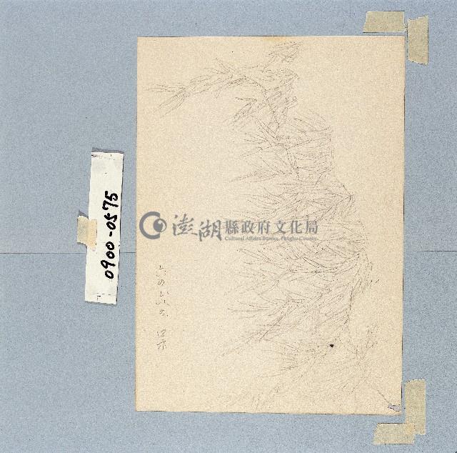 登錄號:2014E0010900藏品圖，第1張