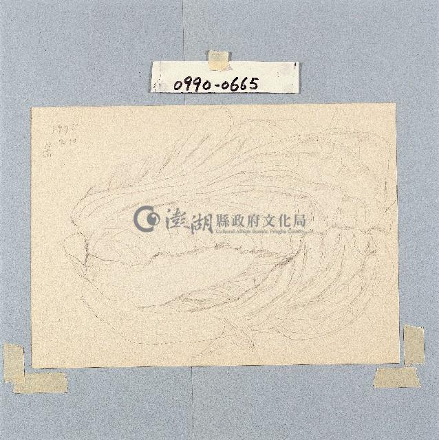 登錄號:2014E0010990藏品圖，第1張