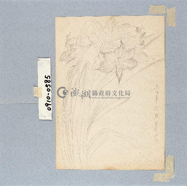 登錄號:2014E0010910藏品圖，第1張