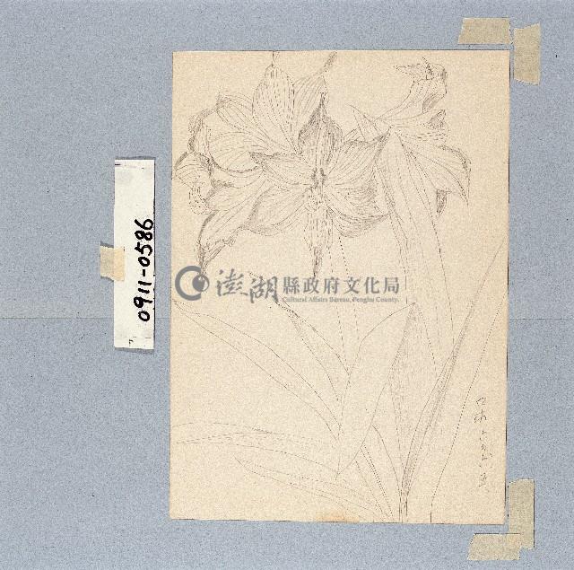 登錄號:2014E0010911藏品圖，第1張