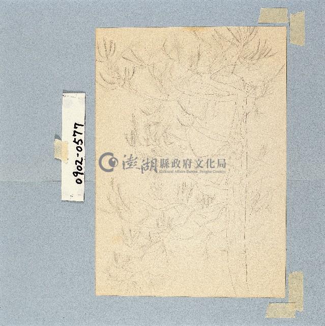 登錄號:2014E0010902藏品圖，第1張