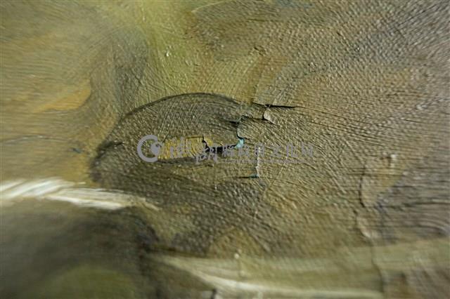 油畫藏品圖，第14張