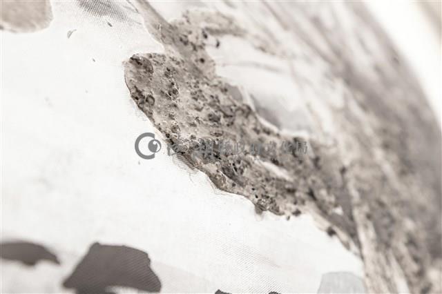 潮間⽔光藏品圖，第10張