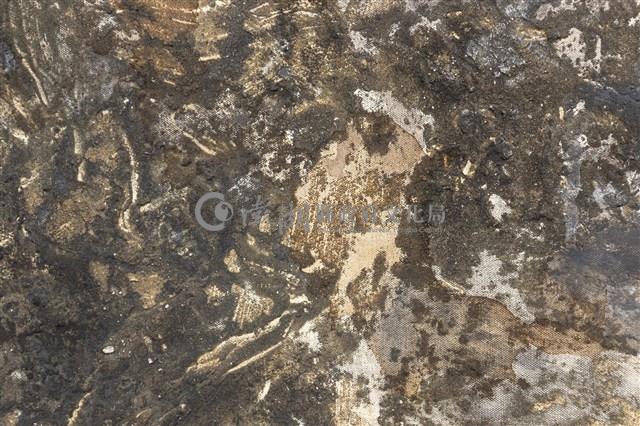 灰燼中的殘骸藏品圖，第10張