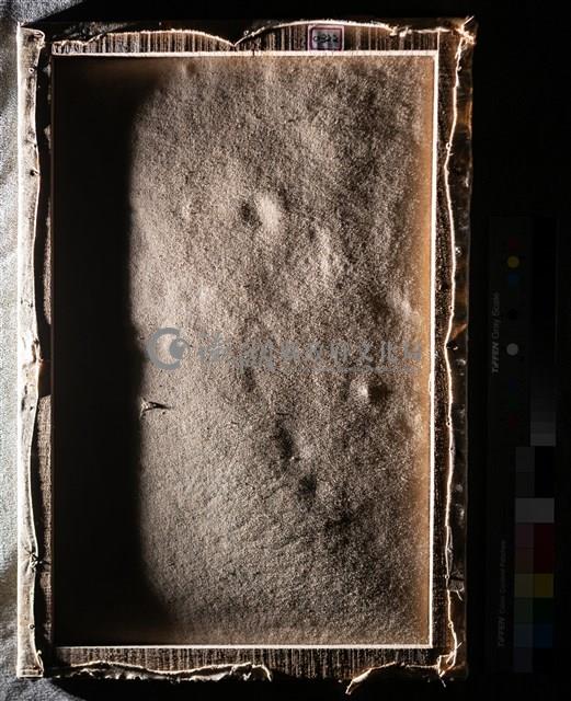 油畫藏品圖，第8張