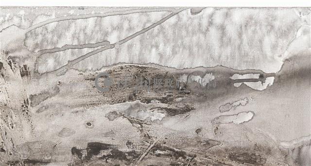 潮間⽔光藏品圖，第5張