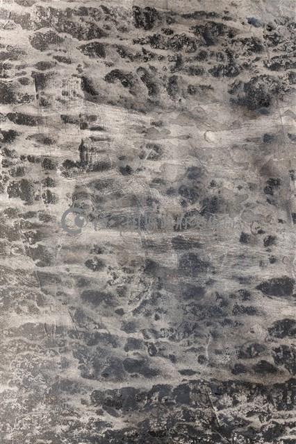 潮間帶藏品圖，第5張