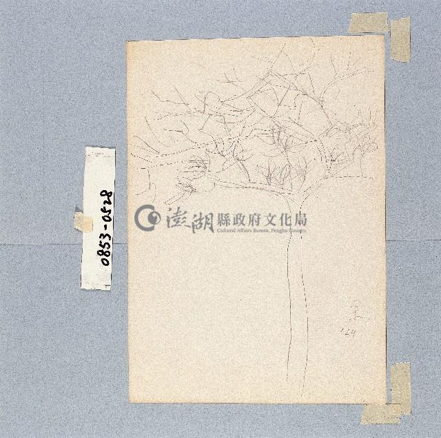 登錄號:2014E0010853藏品圖，第1張