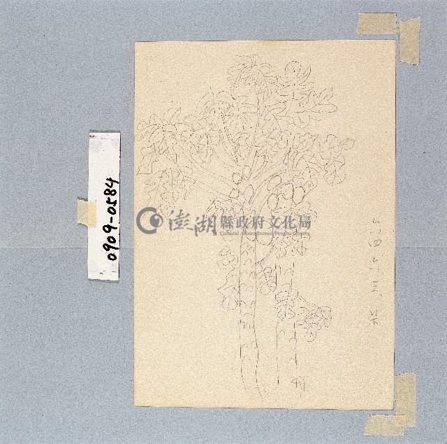 登錄號:2014E0010909藏品圖，第1張