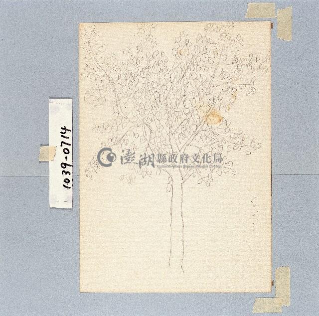 登錄號:2014E0011039藏品圖，第1張