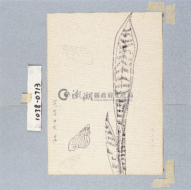 登錄號:2014E0011038藏品圖，第1張