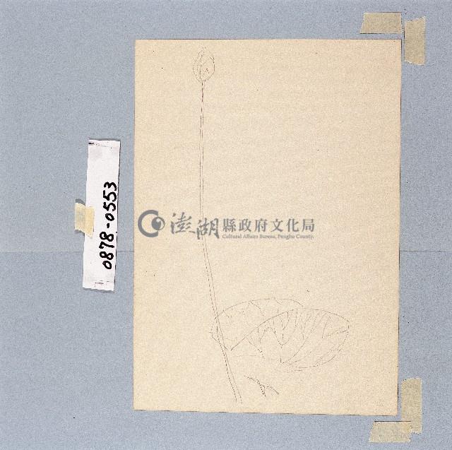 登錄號:2014E0010878藏品圖，第1張