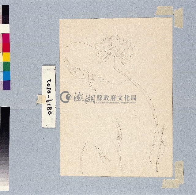 登錄號:2014E0010827藏品圖，第1張