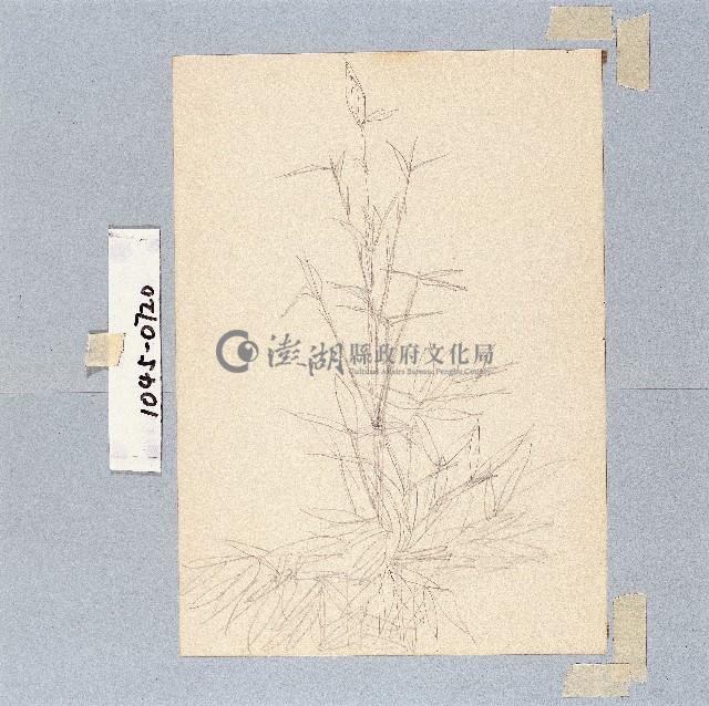 登錄號:2014E0011045藏品圖，第1張