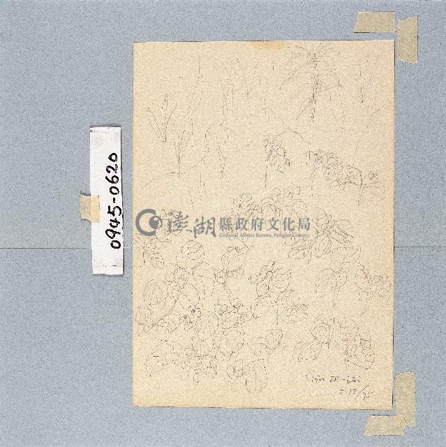 登錄號:2014E0010945藏品圖，第1張