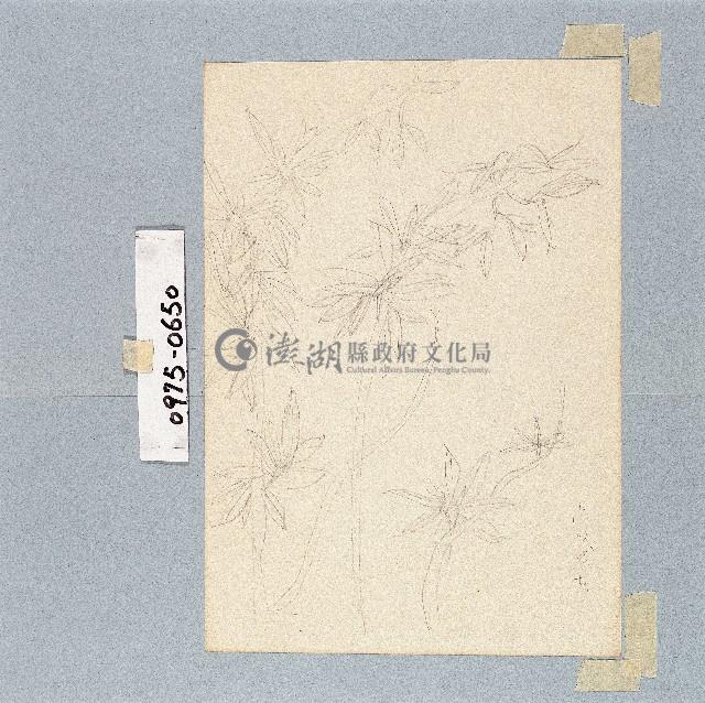 登錄號:2014E0010975藏品圖，第1張