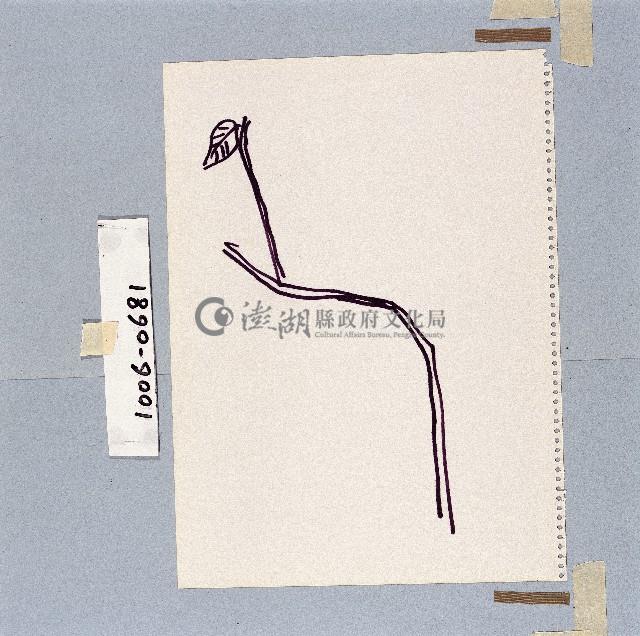 登錄號:2014E0011006藏品圖，第1張