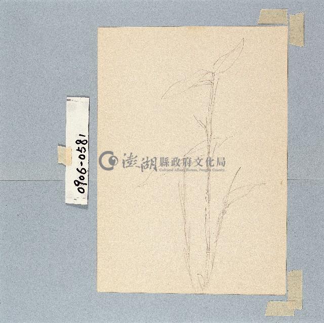 登錄號:2014E0010906藏品圖，第1張