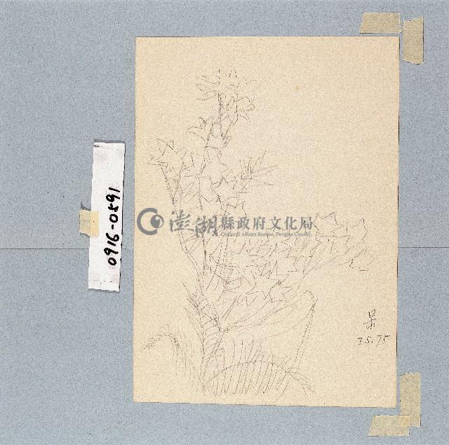 登錄號:2014E0010916藏品圖，第1張