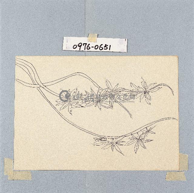 登錄號:2014E0010976藏品圖，第1張