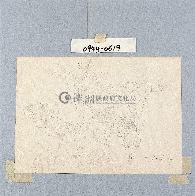 登錄號:2014E0010944藏品圖，第1張