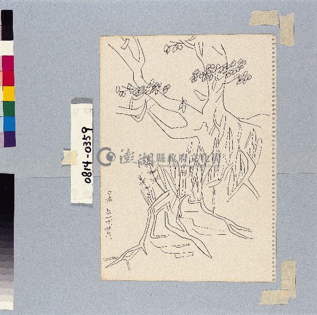 登錄號:2014E0010814藏品圖，第1張