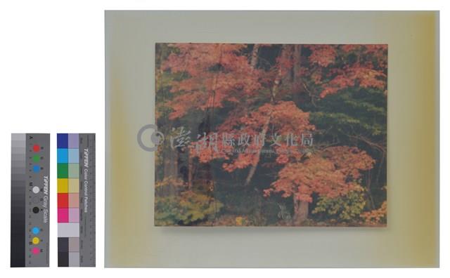 相片藏品圖，第1張