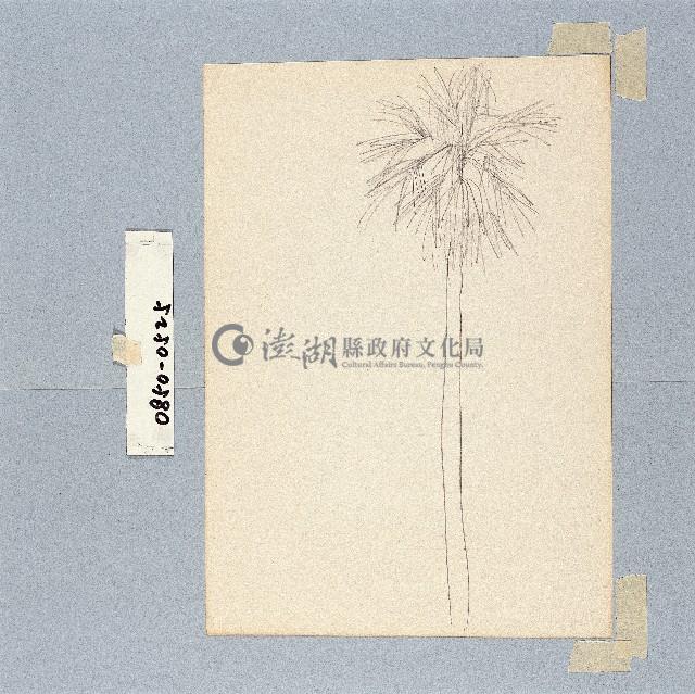 登錄號:2014E0010850藏品圖，第1張