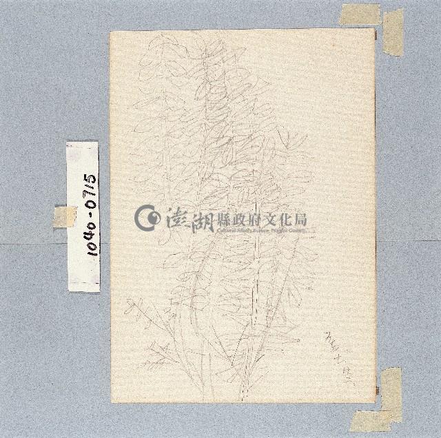 登錄號:2014E0011040藏品圖，第1張