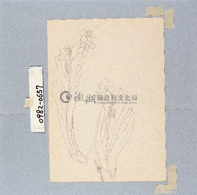 登錄號:2014E0010982藏品圖，第1張