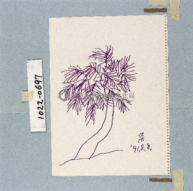 登錄號:2014E0011022藏品圖，第1張