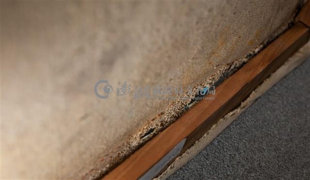 油畫藏品圖，第9張