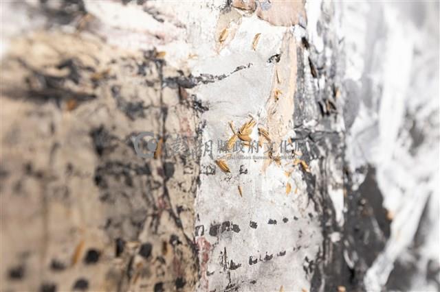 留個蕭瑟藏品圖，第9張