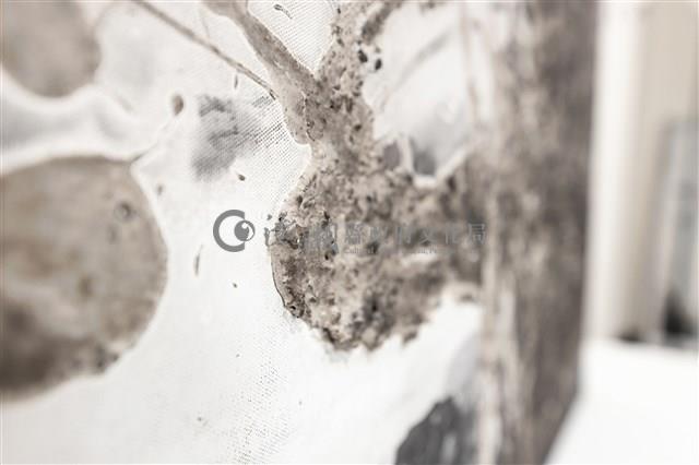 潮間⽔光藏品圖，第9張