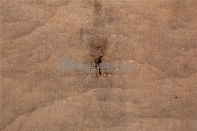 油畫藏品圖，第6張