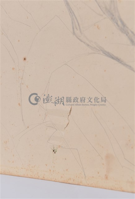 素描藏品圖，第4張