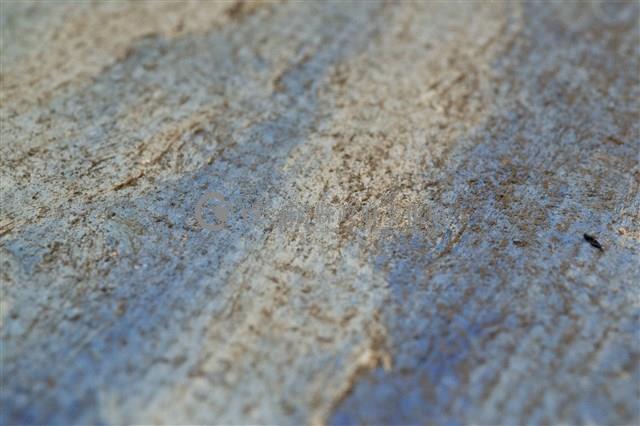 油畫藏品圖，第13張