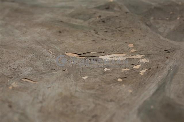 油畫藏品圖，第13張