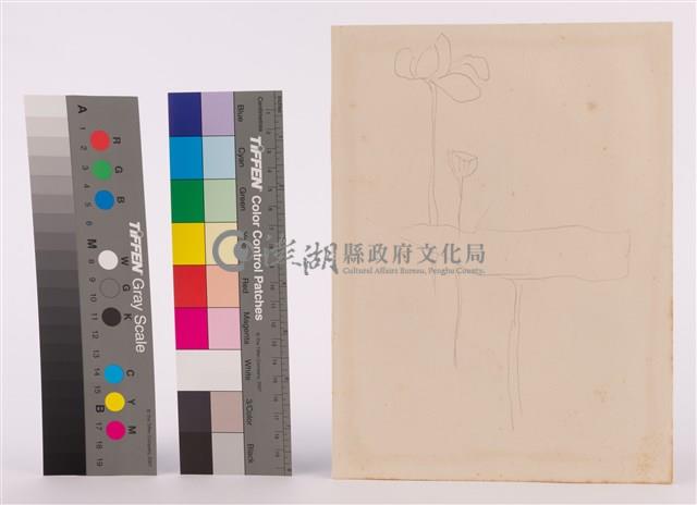 素描藏品圖，第1張