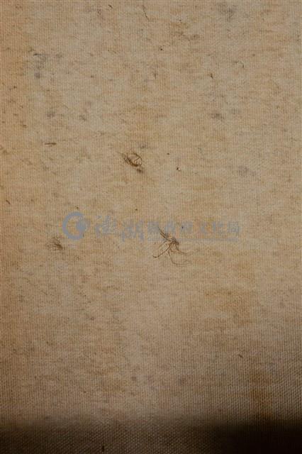 油畫藏品圖，第10張