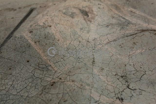 油畫藏品圖，第16張