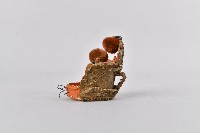 鑲紫石金屬橘底神像流蘇冠藏品圖，第4張