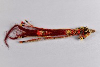 巫師用幅-竹製綁繩法器藏品圖，第1張
