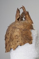 布農族頭目鹿皮帽藏品圖，第4張