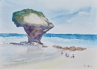 花瓶岩藏品圖，第1張